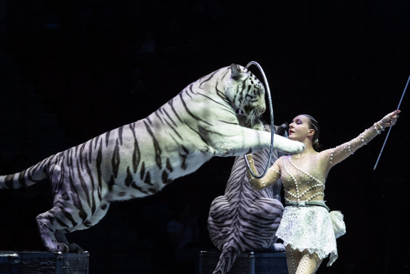 &laquo;&SHcy;&ocy;&ucy;-&Vcy;&acy;&ucy;&colon; &SHcy;&ocy;&kcy;&ocy;&lcy;&acy;&dcy;&ncy;&acy;&yacy; &fcy;&acy;&bcy;&rcy;&icy;&kcy;&acy;&excl;&raquo;