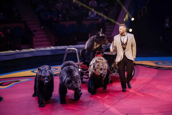 &TScy;&icy;&rcy;&kcy; &Fcy;&icy;&lcy;&acy;&tcy;&ocy;&vcy;&ycy;&khcy;